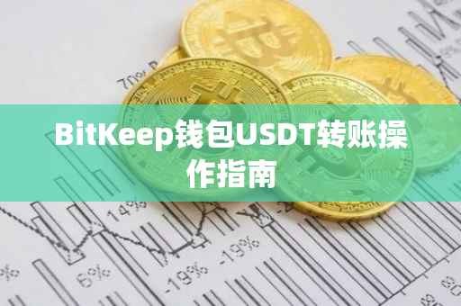 BitKeep钱包USDT转账操作指南