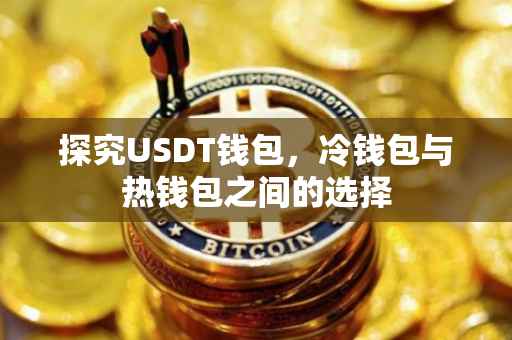 探究USDT钱包，冷钱包与热钱包之间的选择