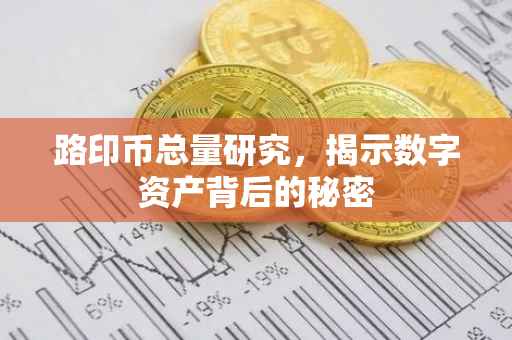 路印币总量研究，揭示数字资产背后的秘密