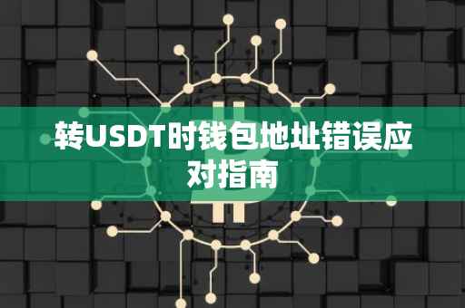 转USDT时钱包地址错误应对指南