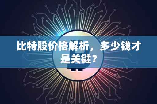 比特股价格解析，多少钱才是关键？