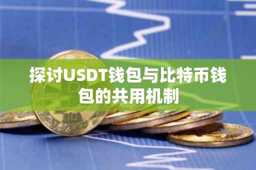 探讨USDT钱包与比特币钱包的共用机制