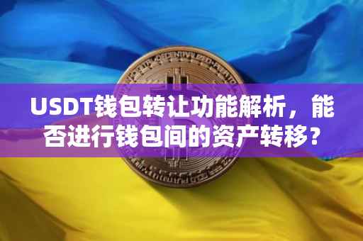 USDT钱包转让功能解析，能否进行钱包间的资产转移？