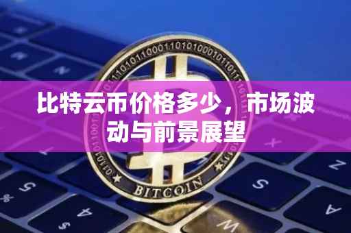 比特云币价格多少，市场波动与前景展望
