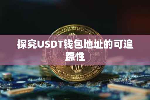 探究USDT钱包地址的可追踪性