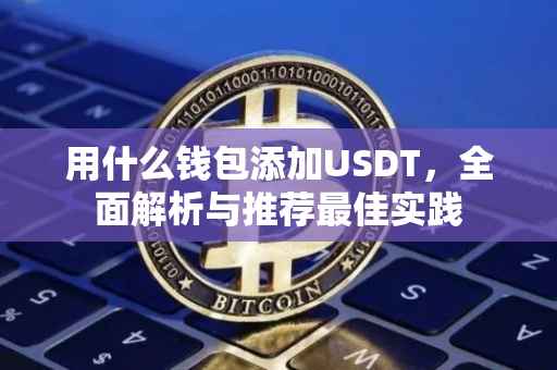 用什么钱包添加USDT，全面解析与推荐最佳实践