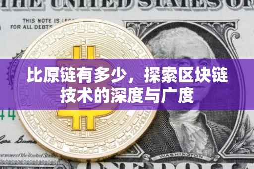 比原链有多少，探索区块链技术的深度与广度