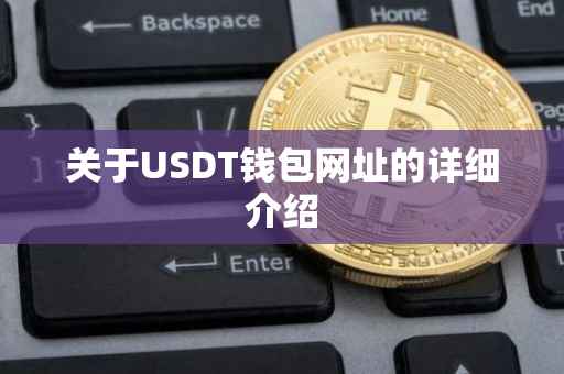 关于USDT钱包网址的详细介绍