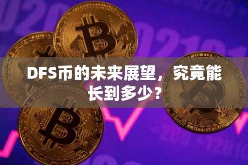 DFS币的未来展望，究竟能长到多少？