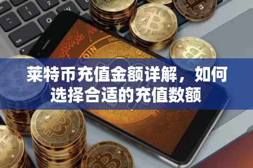 莱特币充值金额详解，如何选择合适的充值数额