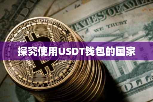 探究使用USDT钱包的国家