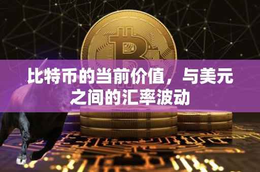 比特币的当前价值，与美元之间的汇率波动