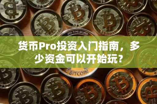 货币Pro投资入门指南，多少资金可以开始玩？