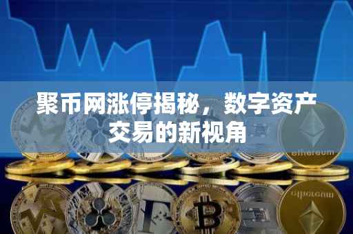 聚币网涨停揭秘，数字资产交易的新视角
