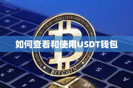 如何查看和使用USDT钱包