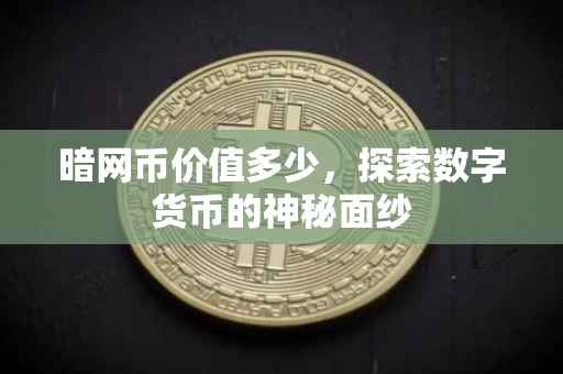 暗网币价值多少，探索数字货币的神秘面纱
