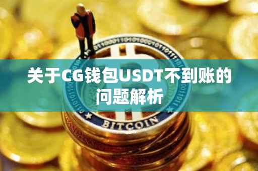 关于CG钱包USDT不到账的问题解析
