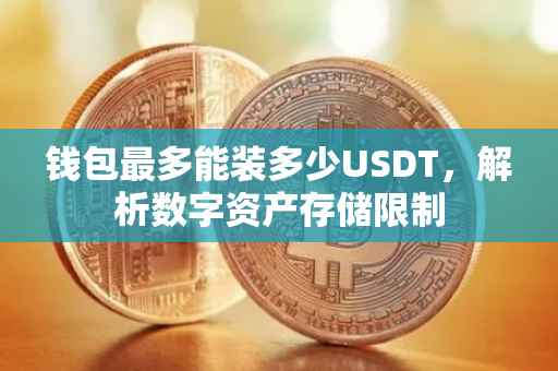 钱包最多能装多少USDT，解析数字资产存储限制