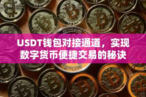 USDT钱包对接通道，实现数字货币便捷交易的秘诀