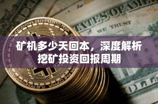 矿机多少天回本，深度解析挖矿投资回报周期