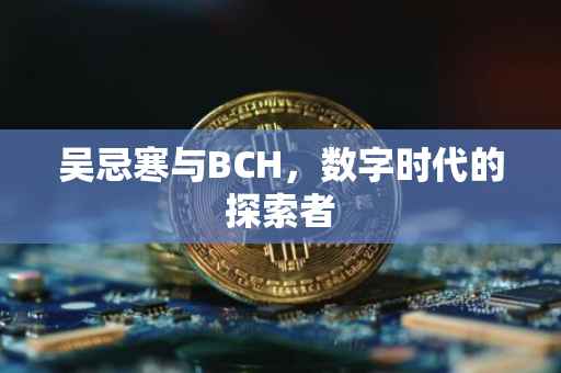 吴忌寒与BCH，数字时代的探索者