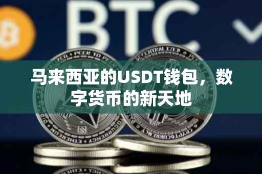 马来西亚的USDT钱包，数字货币的新天地