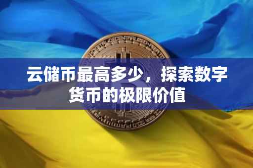 云储币最高多少，探索数字货币的极限价值
