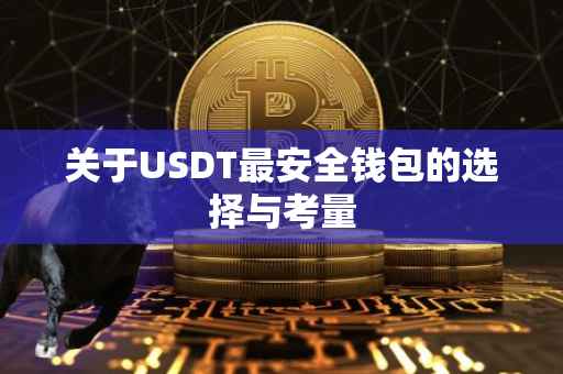 关于USDT最安全钱包的选择与考量