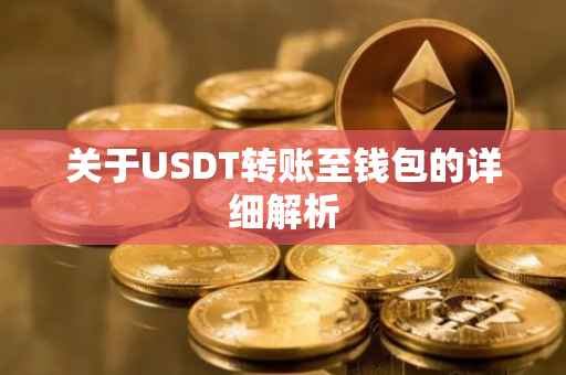关于USDT转账至钱包的详细解析