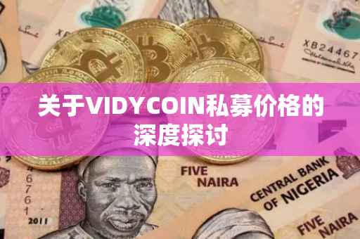 关于VIDYCOIN私募价格的深度探讨