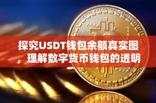 探究USDT钱包余额真实图，理解数字货币钱包的透明度与真实性