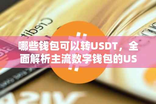 哪些钱包可以转USDT，全面解析主流数字钱包的USDT转账功能