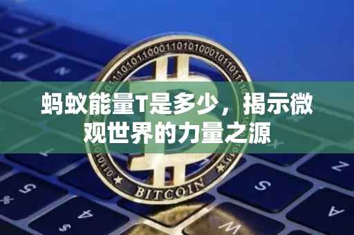 蚂蚁能量T是多少，揭示微观世界的力量之源