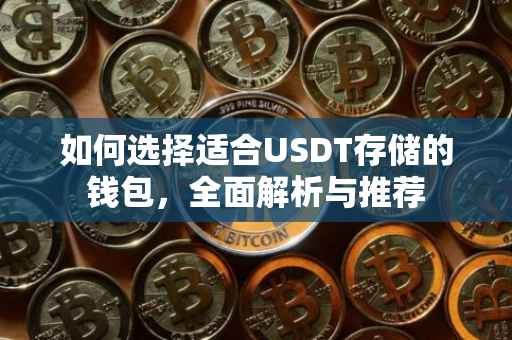 如何选择适合USDT存储的钱包，全面解析与推荐