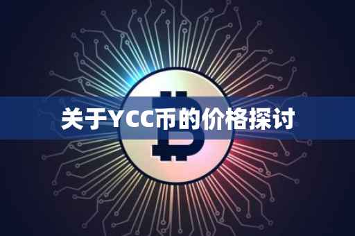 关于YCC币的价格探讨