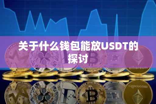 关于什么钱包能放USDT的探讨