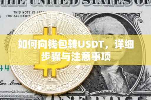 如何向钱包转USDT,详细步骤与注意事项