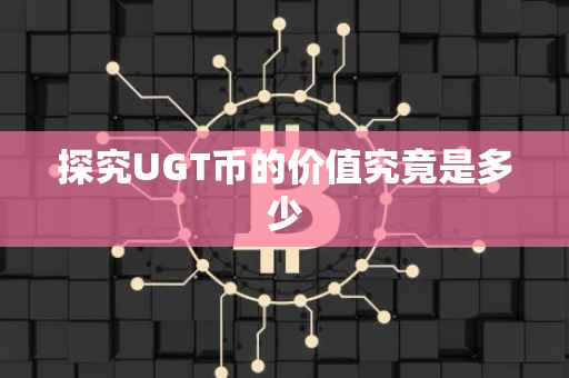 探究UGT币的价值究竟是多少