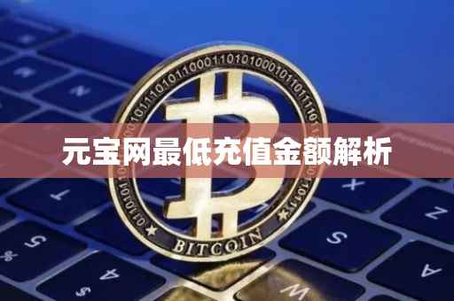 元宝网最低充值金额解析