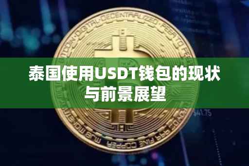 泰国使用USDT钱包的现状与前景展望