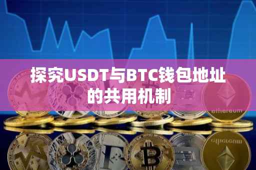 探究USDT与BTC钱包地址的共用机制