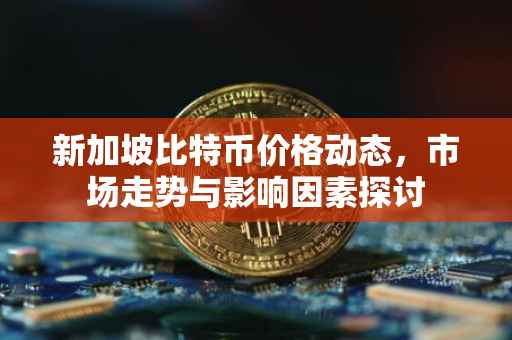 新加坡比特币价格动态，市场走势与影响因素探讨
