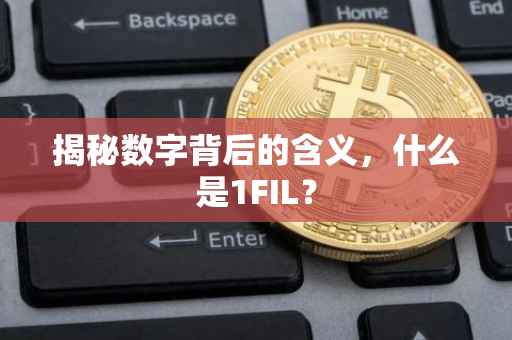 揭秘数字背后的含义,什么是1FIL?