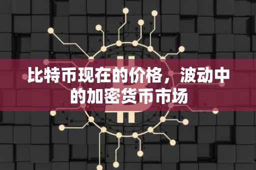 比特币现在的价格,波动中的加密货币市场
