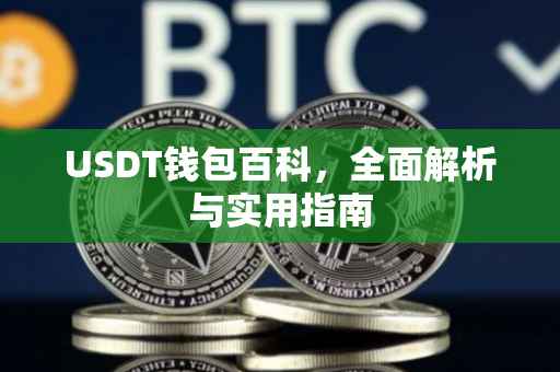 USDT钱包百科,全面解析与实用指南