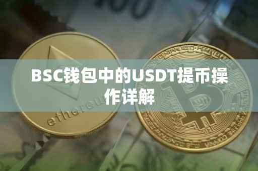 BSC钱包中的USDT提币操作详解