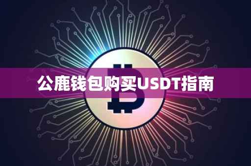 公鹿钱包购买USDT指南