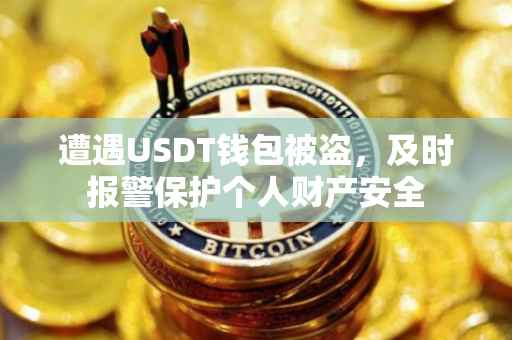 遭遇USDT钱包被盗，及时报警保护个人财产安全