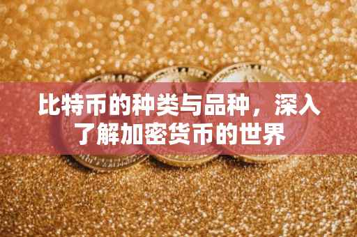 比特币的种类与品种，深入了解加密货币的世界