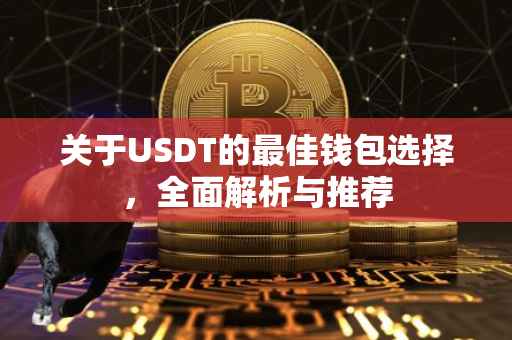 关于USDT的最佳钱包选择，全面解析与推荐